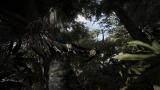 Image Tom Clancy's Ghost Recon : Wildlands