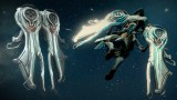 Image Warframe