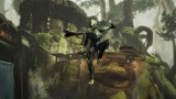 Image Warframe