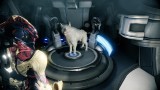 Image Warframe