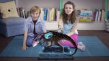 Image Wonderbook : Walking With Dinosaurs