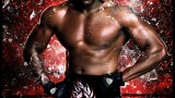 Image WWE 2K16