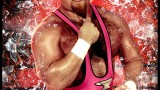 Image WWE 2K16
