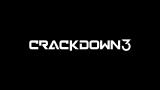 Image Crackdown 3