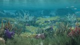Image Black Desert Online