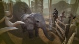 Image Black Desert Online
