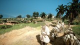Image Black Desert Online