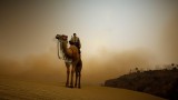 Image Black Desert Online