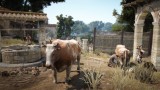 Image Black Desert Online