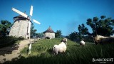 Image Black Desert Online