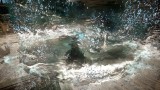 Image Black Desert Online