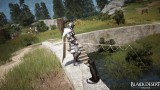 Image Black Desert Online