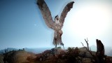 Image Black Desert Online