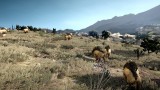 Image Black Desert Online