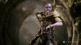 Image Paragon