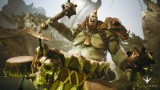 Image Paragon
