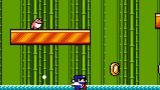 Image Ninja Senki DX