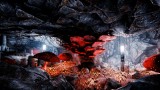 Image The Solus Project
