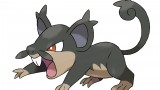 Image Pokémon Lune