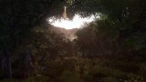 Image Niten