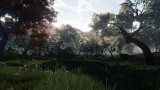 Image Niten