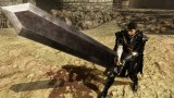 Image Berserk and the Band of the Hawk