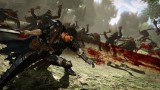 Image Berserk and the Band of the Hawk