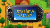 Image Stardew Valley
