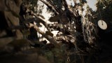 Image Resident Evil 7