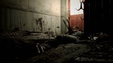 Image Resident Evil 7