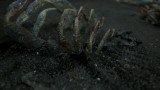 Image Death Stranding