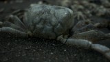 Image Death Stranding
