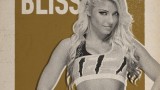 Image WWE 2K17