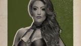 Image WWE 2K17