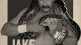 Image WWE 2K17