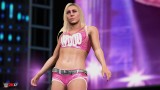 Image WWE 2K17