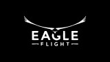 Image Eagle Flight