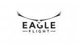 Image Eagle Flight