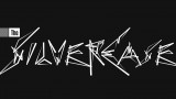 Image The Silver Case