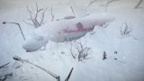 Image Impact Winter