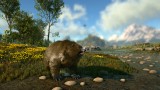 Image ARK : Survival Evolved