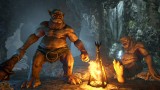 Image ARK : Survival Evolved