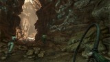 Image ARK : Survival Evolved