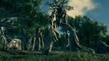 Image ARK : Survival Evolved