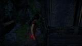 Image Uncharted : The Lost Legacy