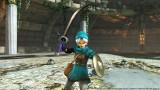 Image Dragon Quest Heroes II