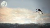 Image Surf World Series