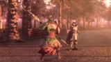 Image Dynasty Warriors 9