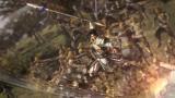 Image Dynasty Warriors 9
