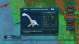 Image Birthdays the Beginning